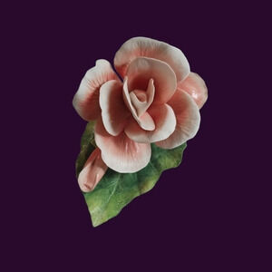 Begonia Ronal V.Ruykevelt Franklin mint begonia